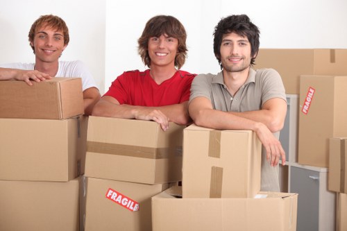 Risk assessment and careful handling during a van loading job
