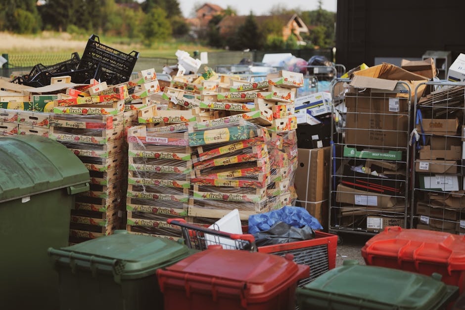 An outdoor area near a residential property showing a large pile of flattened cardboard boxes, many labeled 'fresh fruits,' stacked on wooden pallets, with some black plastic crates on top. Surrounding the pallets are several green and red plastic wheelie bins, a red shopping trolley filled with packaging materials, and metal wire cages containing cardboard boxes and other small items. The scene is lit by natural daylight, and part of a house and garden are visible in the background, indicating a household waste clearance or home relocation process. The arrangement suggests packing materials and discarded packaging during a move or bulky waste collection, with a focus on logistics for furniture transport and packing during house removals, as handled by companies like Man with Van Fulwell.