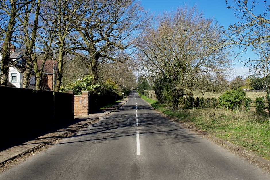 A quiet residential street during daytime with a narrow asphalt road marked by a central dashed white line. On the left side, there is a low brick wall with a modern house partly visible behind it, while on the right side, there are open grassy areas with several large, leafless and partially leafed trees casting shadows across the pavement. The road appears clear and free of traffic, creating ideal conditions for home relocation or furniture transport. In the context of house removals, this setting could be part of a typical suburban environment where professional removal services, such as those offered by Man with Van Fulwell, coordinate loading and unloading operations for household furniture and boxes during a move. The scene emphasizes the importance of parking and access considerations in residential moving logistics, with the natural lighting highlighting the outdoor space suitable for loading a van or moving truck.